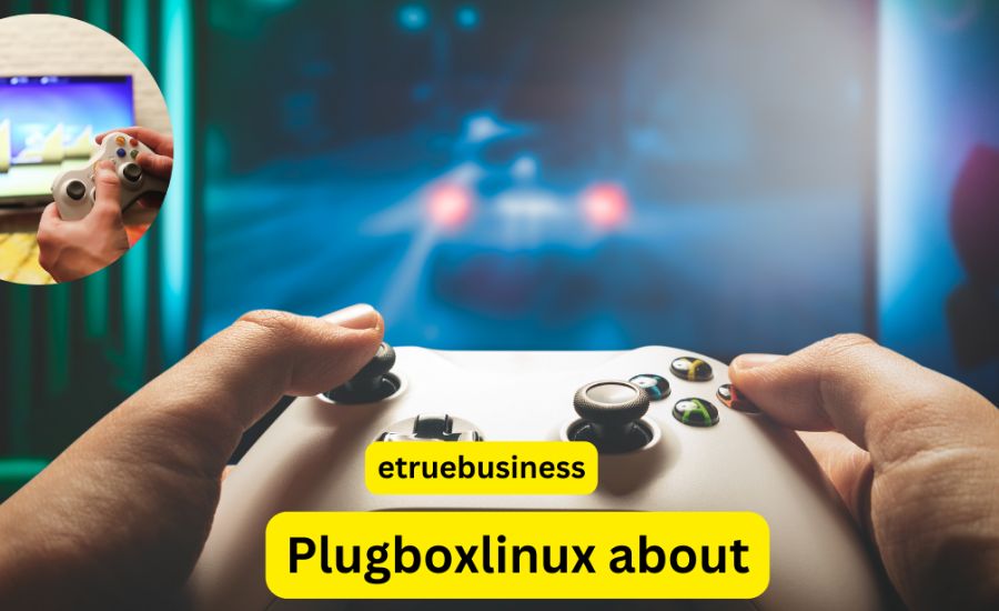 About Plugboxlinux